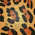 Leopardo