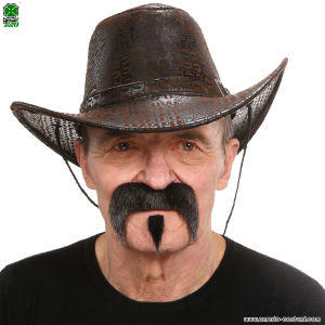 MOUSTACHE AVEC MOUCHE GRISONNEUSE