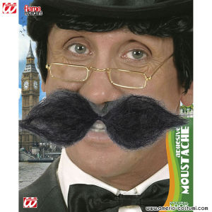 Bigotes negros de SCHNAUZER