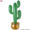 CACTUS GONFLABIL