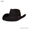Arizona dlx Hat Black