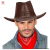Chapeau de cowboy country marron