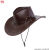 Sombrero de vaquero campestre marrón