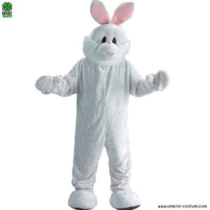 Mascotte Coniglio