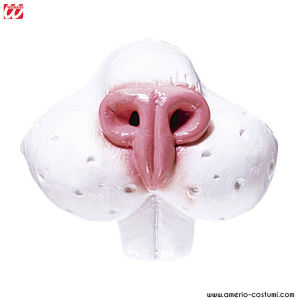 Nez de lapin