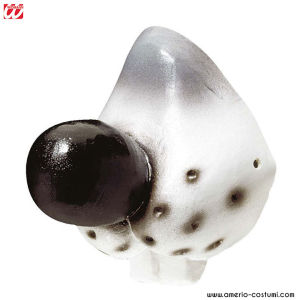 Mouse Nose