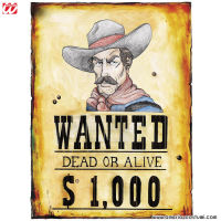 POSTER "WANTED" 38x50 cm