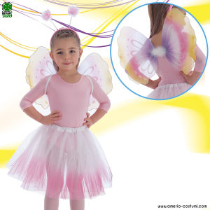 CONJUNTO DE MARIPOSAS MULTICOLOR
