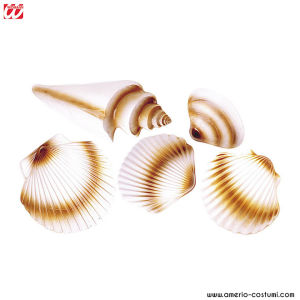 LOT DE 5 COQUILLES 3D