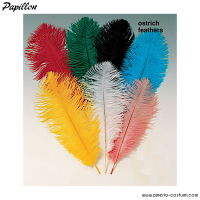 Pena de avestruz 50 cm
