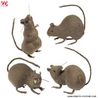 RATO PELUDO