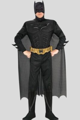 Batman The Dark Knight dlx