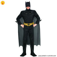 Batman The Dark Knight dlx