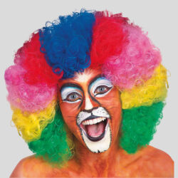 Rainbow AFRO Wig