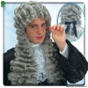 Gray Judge Wig