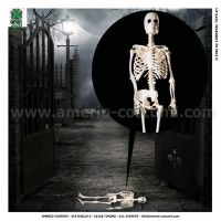 Squelette suspendu 20 cm