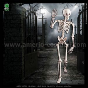 Articulated skeleton 160 cm