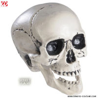 Craniu cu maxilar mobil 25 cm