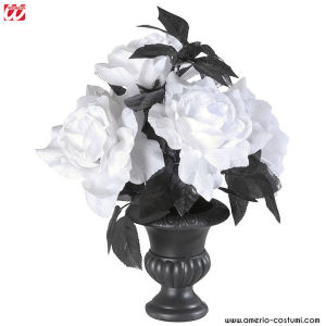 Vase with white roses with light
