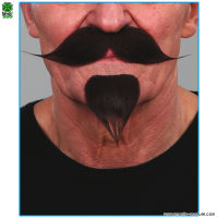 MUSTAȚĂ ȘI BĂRBIȚĂ NEAGRĂ