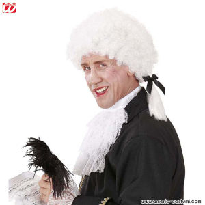Mozart Wig