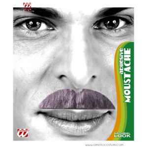 Pegatinas de bigote gris