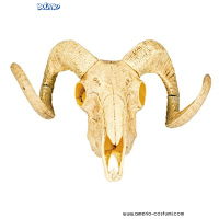 CRÂNIO ANIMAL - 28x36 cm