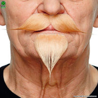 Hellblonder Schnurrbart und Spitzbart