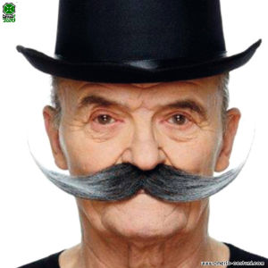LONG POINTED MUSTACHE WITH GREYING