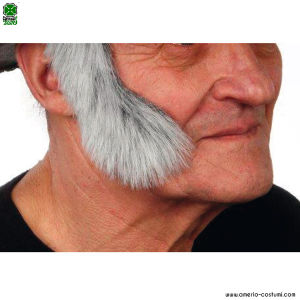 Thick Graying Sideburns