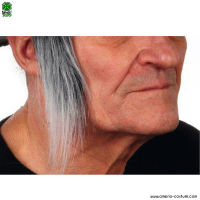 Lange, ergraute Koteletten