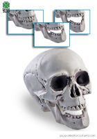 Skull with movable jaw 15 cm