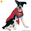 SUPERMAN - Pet Costume