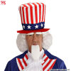 Uncle Sam Wig and Beard