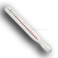 THERMOMÈTRE GÉANT - 33 cm