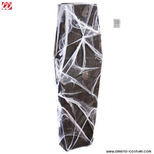Coffin with Gauze and Cobweb