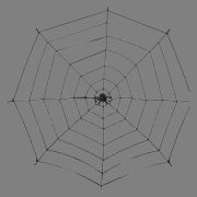 Spinnennetz aus Chenille mit Spinne – 200 cm