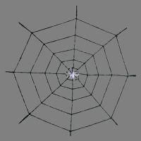 Telaraña de chenilla con araña – 100 cm