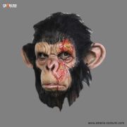 Masca Infected Chimp