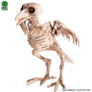 Esqueleto de cuervo 35 cm