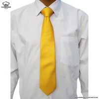Corbata Profesional Amarilla