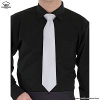 Cravată Profesională Gri Deschis