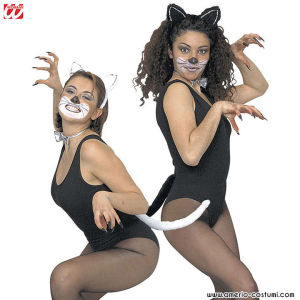 Kitten Set