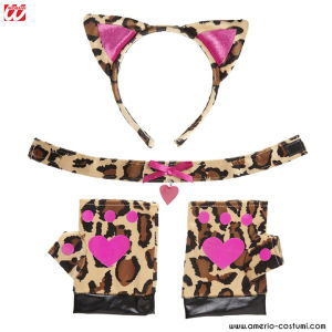 Conjunto divertido de leopardo