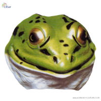 Plastic Frog Mask Jr