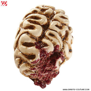 Gehirn gegessen - 16 cm