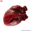 Heart - 14 cm
