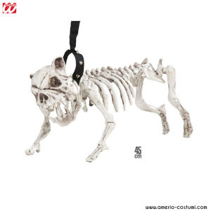 SCHELETRO CANE CON GUINZAGLIO - 45 cm