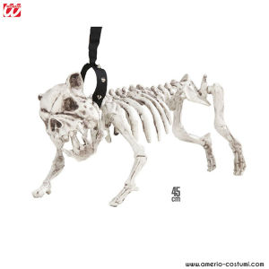 Squelette de chien avec laisse 45 cm