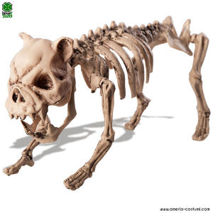 Squelette de chien 20x40 cm